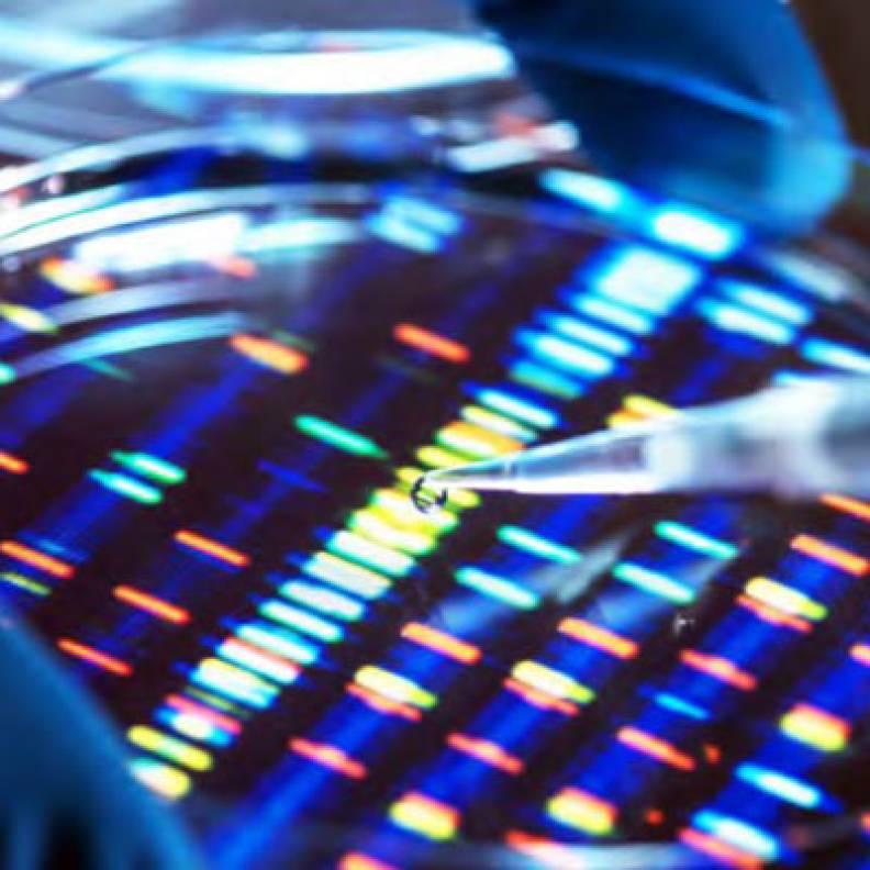 Gene Synthesis