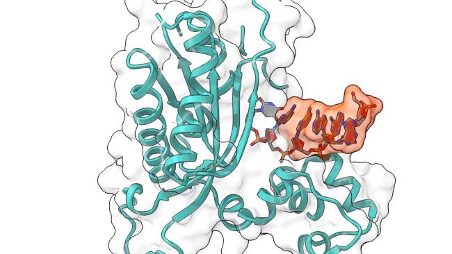Evonetix demonstrates novel enzymatic DNA synthesis method