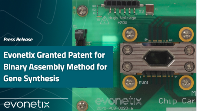 Evonetix granted patents for novel gene assembly method